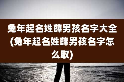 兔年起名姓薛男孩名字大全(兔年起名姓薛男孩名字怎么取)