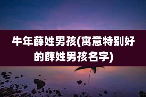 牛年薛姓男孩(寓意特别好的薛姓男孩名字)