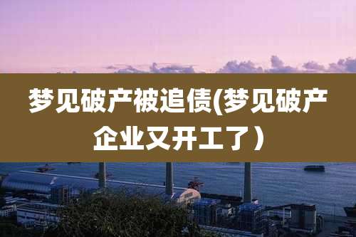 梦见破产被追债(梦见破产企业又开工了)