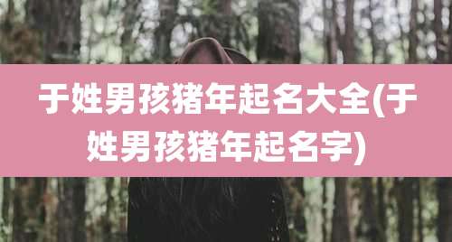 于姓男孩猪年起名大全(于姓男孩猪年起名字)