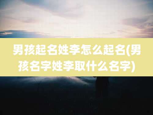 男孩起名姓李怎么起名(男孩名字姓李取什么名字)