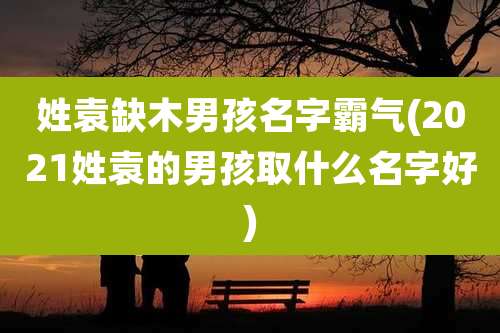 姓袁缺木男孩名字霸气(2021姓袁的男孩取什么名字好)