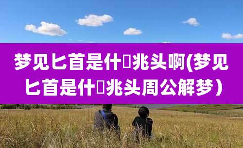 梦见匕首是什麼兆头啊(梦见匕首是什麼兆头周公解梦)