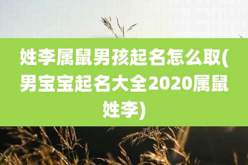 姓李属鼠男孩起名怎么取(男宝宝起名大全2020属鼠姓李)