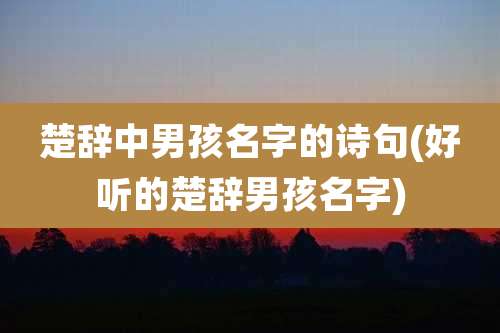 楚辞中男孩名字的诗句(好听的楚辞男孩名字)