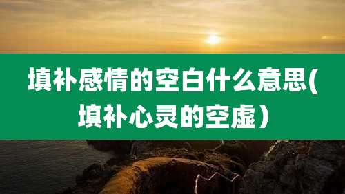 填补感情的空白什么意思(填补心灵的空虚）