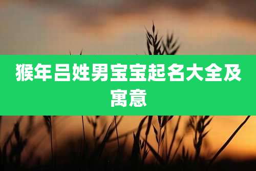 猴年吕姓男宝宝起名大全及寓意