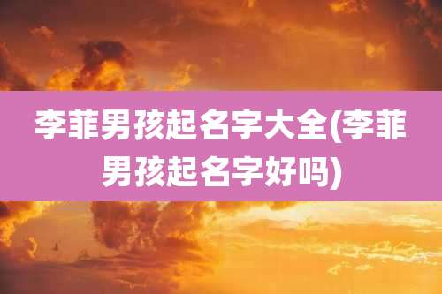 李菲男孩起名字大全(李菲男孩起名字好吗)