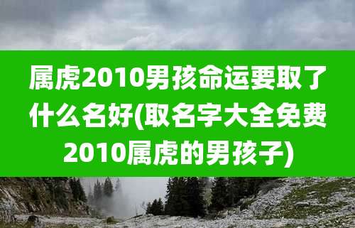 属虎2010男孩命运要取了什么名好(取名字大全免费2010属虎的男孩子)