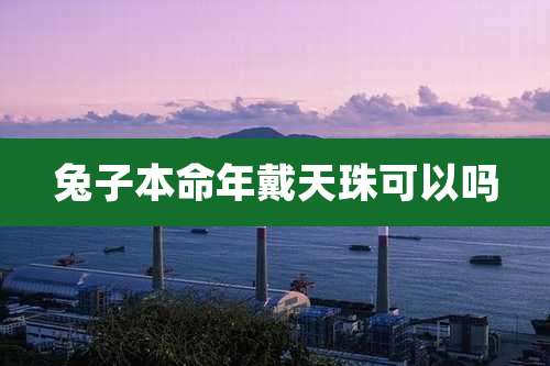 兔子本命年戴天珠可以吗