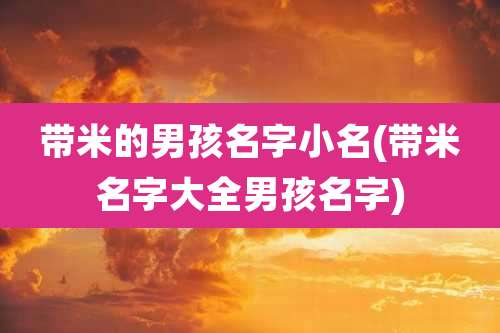 带米的男孩名字小名(带米名字大全男孩名字)