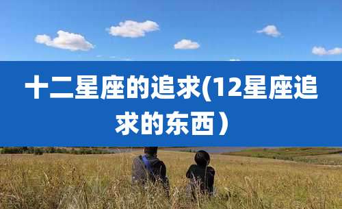 十二星座的追求(12星座追求的东西)