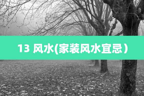 13 风水(家装风水宜忌）