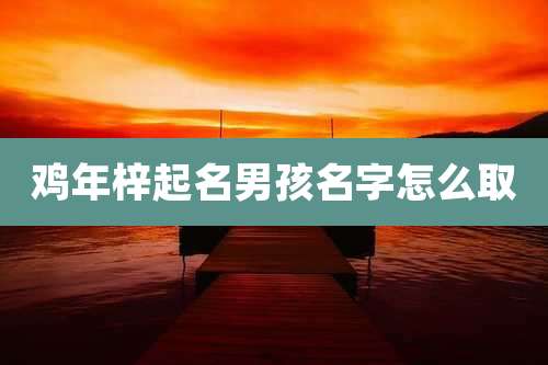 鸡年梓起名男孩名字怎么取