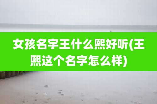 女孩名字王什么熙好听(王熙这个名字怎么样)