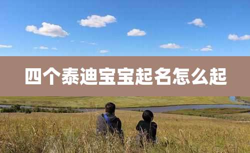 四个泰迪宝宝起名怎么起