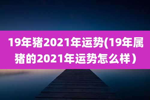19年猪2021年运势(19年属猪的2021年运势怎么样)