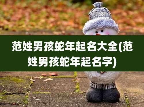 范姓男孩蛇年起名大全(范姓男孩蛇年起名字)