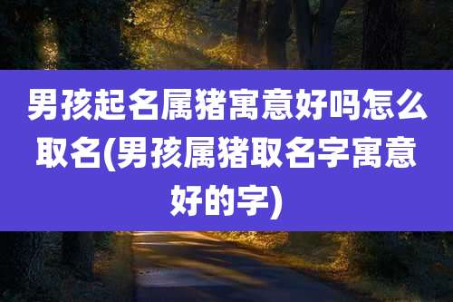 男孩起名属猪寓意好吗怎么取名(男孩属猪取名字寓意好的字)