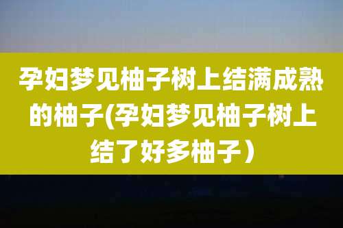 孕妇梦见柚子树上结满成熟的柚子(孕妇梦见柚子树上结了好多柚子)