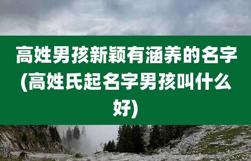 高姓男孩新颖有涵养的名字(高姓氏起名字男孩叫什么好)