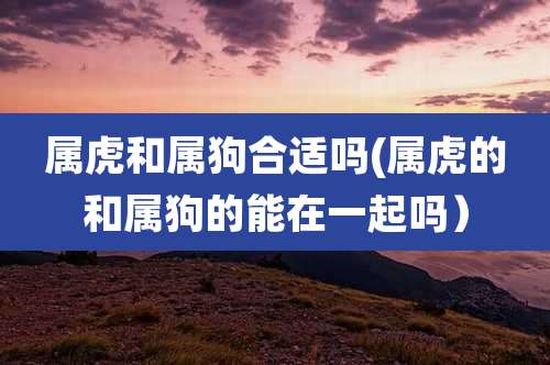 属虎和属狗合适吗(属虎的和属狗的能在一起吗)