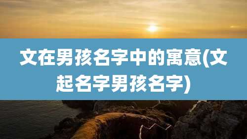 文在男孩名字中的寓意(文起名字男孩名字)