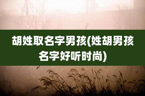 胡姓取名字男孩(姓胡男孩名字好听时尚)