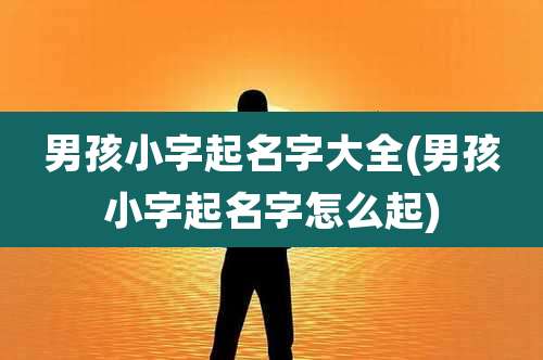 男孩小字起名字大全(男孩小字起名字怎么起)