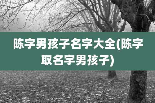 陈字男孩子名字大全(陈字取名字男孩子)