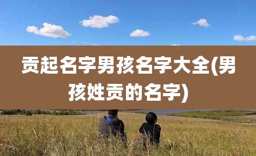 贡起名字男孩名字大全(男孩姓贡的名字)