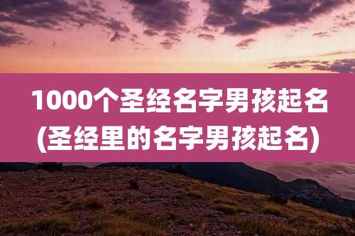 1000个圣经名字男孩起名(圣经里的名字男孩起名)