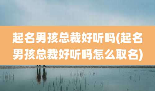起名男孩总裁好听吗(起名男孩总裁好听吗怎么取名)