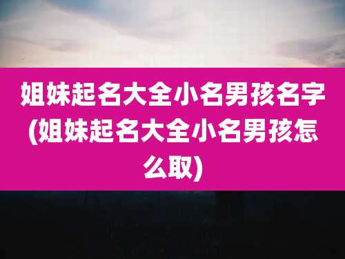 姐妹起名大全小名男孩名字(姐妹起名大全小名男孩怎么取)