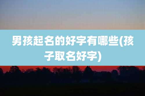 男孩起名的好字有哪些(孩子取名好字)