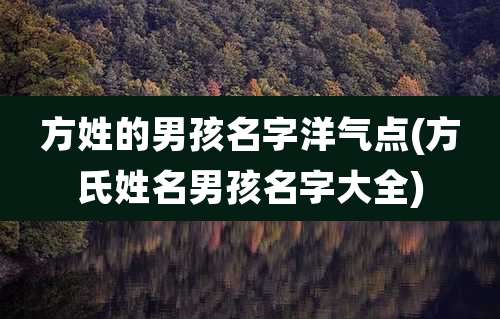 方姓的男孩名字洋气点(方氏姓名男孩名字大全)