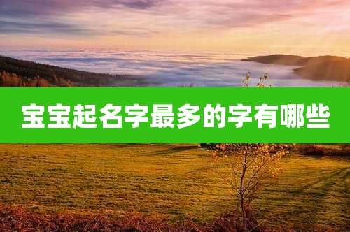 宝宝起名字最多的字有哪些