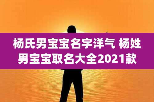 杨氏男宝宝名字洋气 杨姓男宝宝取名大全2021款