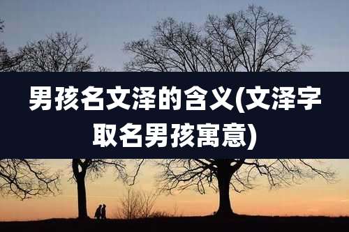 男孩名文泽的含义(文泽字取名男孩寓意)