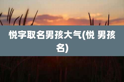 悦字取名男孩大气(悦 男孩名)