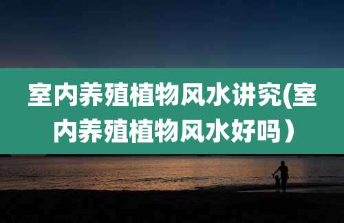 室内养殖植物风水讲究(室内养殖植物风水好吗)