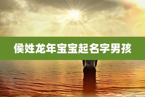 侯姓龙年宝宝起名字男孩