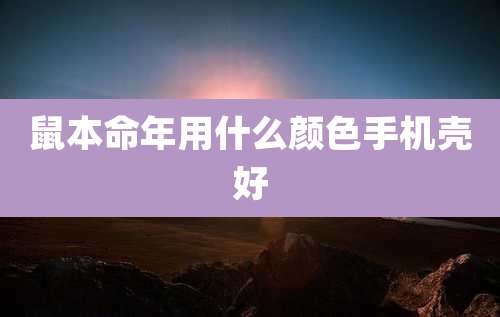 鼠本命年用什么颜色手机壳好