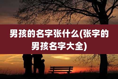 男孩的名字张什么(张字的男孩名字大全)