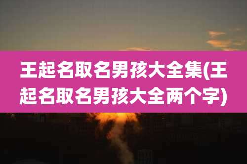 王起名取名男孩大全集(王起名取名男孩大全两个字)