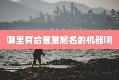 哪里有给宝宝起名的机器啊