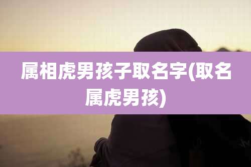 属相虎男孩子取名字(取名属虎男孩)