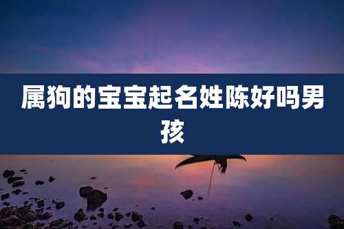 属狗的宝宝起名姓陈好吗男孩