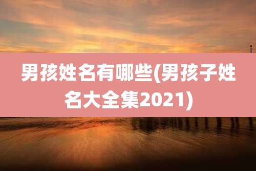 男孩姓名有哪些(男孩子姓名大全集2021)