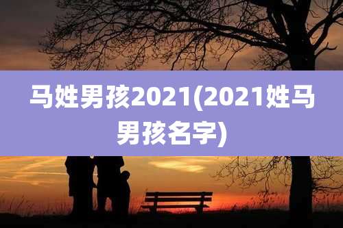马姓男孩2021(2021姓马男孩名字)
